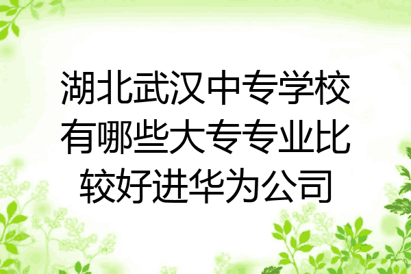 湖北武汉中专学校有哪些大专专业比较好进华为公司