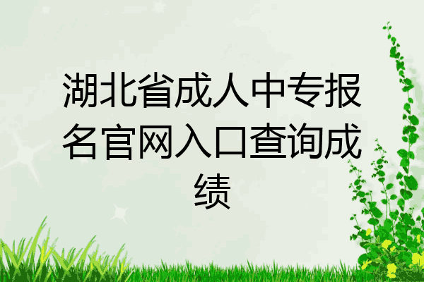 湖北省成人中专报名官网入口查询成绩