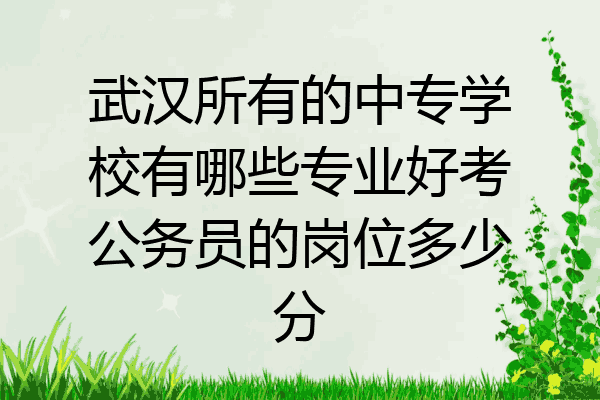 武汉所有的中专学校有哪些专业好考公务员的岗位多少分