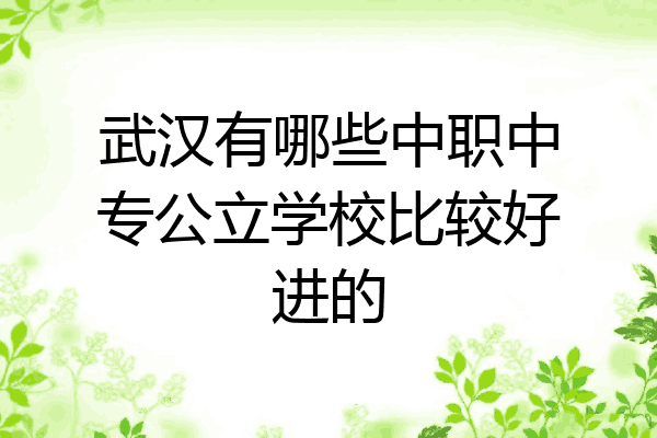 武汉有哪些中职中专公立学校比较好进的