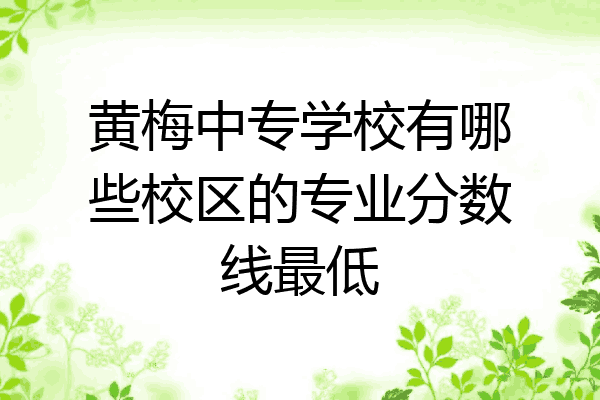 黄梅中专学校有哪些校区的专业分数线最低