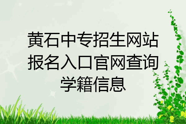黄石中专招生网站报名入口官网查询学籍信息