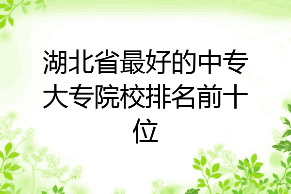 湖北省最好的中专大专院校排名前十位