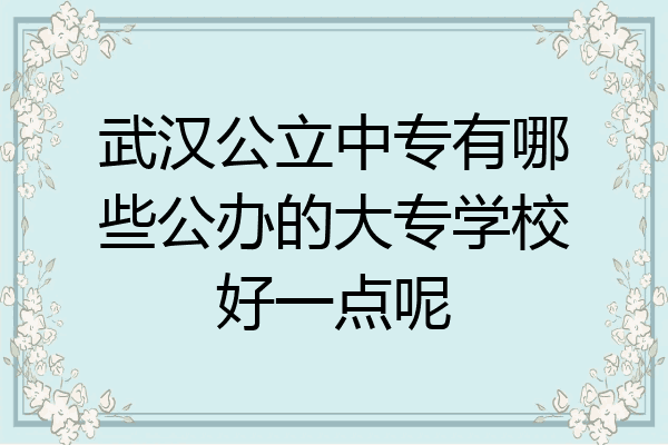 武汉公立中专有哪些公办的大专学校好一点呢