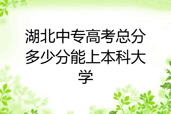 湖北中专高考总分多少分能上本科大学
