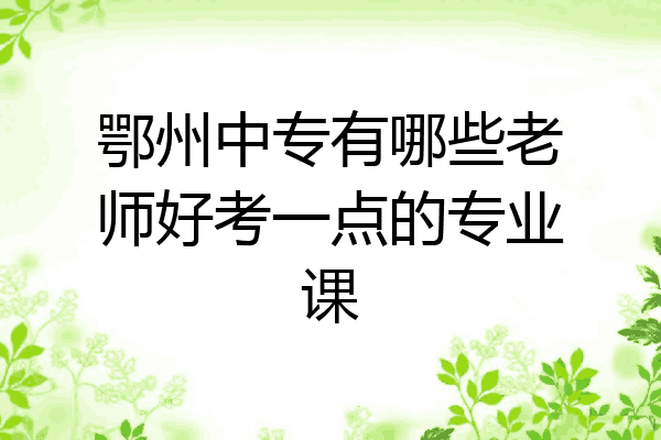 鄂州中专有哪些老师好考一点的专业课