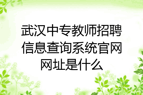 武汉中专教师招聘信息查询系统官网网址是什么
