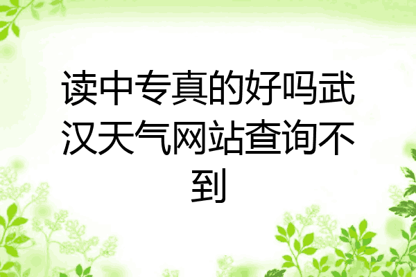 读中专真的好吗武汉天气网站查询不到