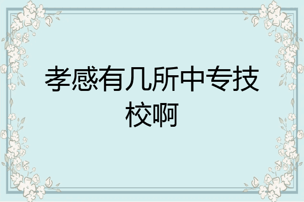 孝感有几所中专技校啊