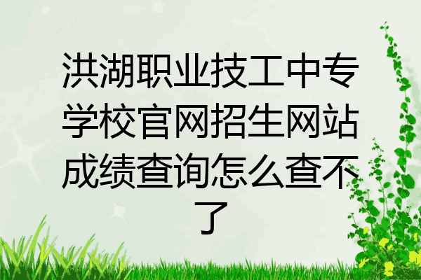 洪湖职业技工中专学校官网招生网站成绩查询怎么查不了