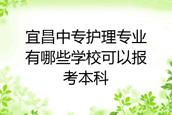 宜昌中专护理专业有哪些学校可以报考本科