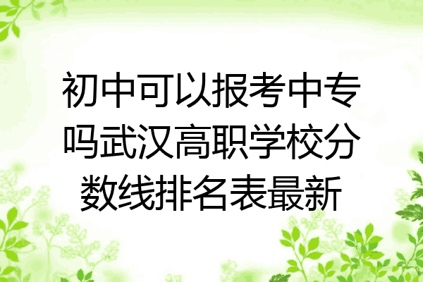 初中可以报考中专吗武汉高职学校分数线排名表最新