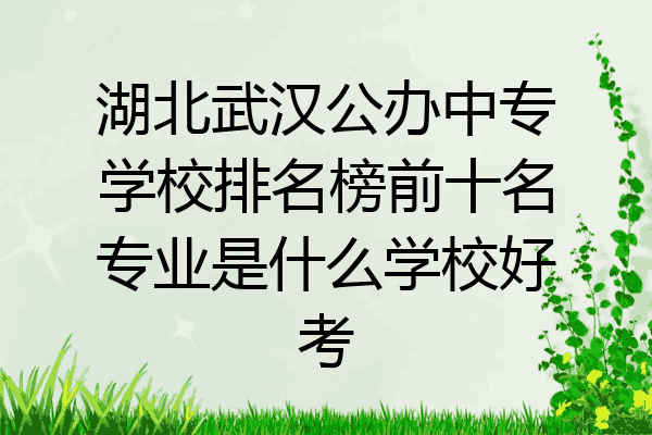 湖北武汉公办中专学校排名榜前十名专业是什么学校好考
