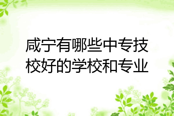 咸宁有哪些中专技校好的学校和专业
