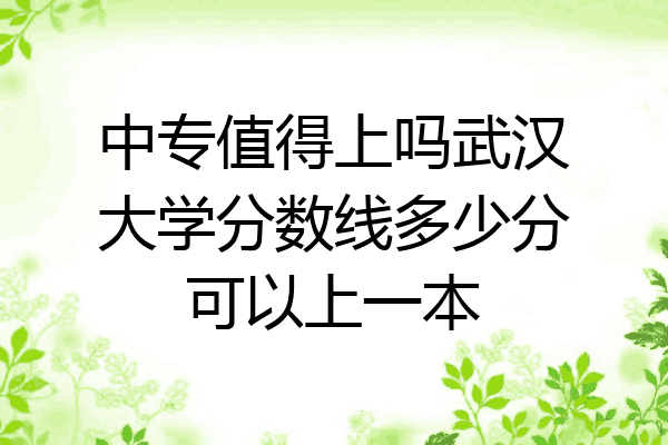 中专值得上吗武汉大学分数线多少分可以上一本