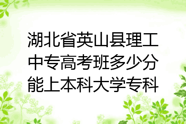 湖北省英山县理工中专高考班多少分能上本科大学专科