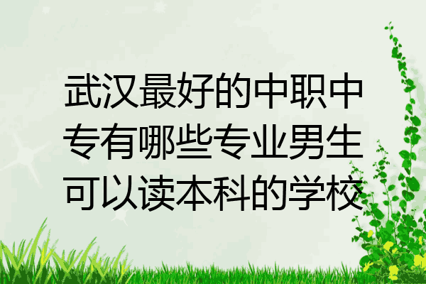 武汉最好的中职中专有哪些专业男生可以读本科的学校