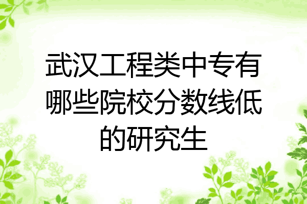 武汉工程类中专有哪些院校分数线低的研究生