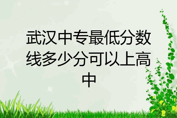 武汉中专最低分数线多少分可以上高中