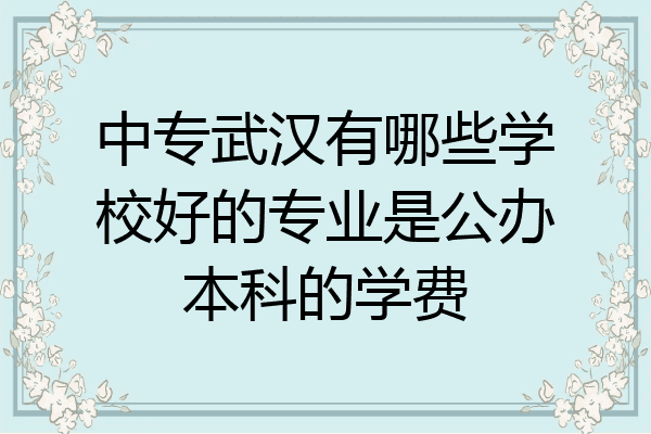 中专武汉有哪些学校好的专业是公办本科的学费