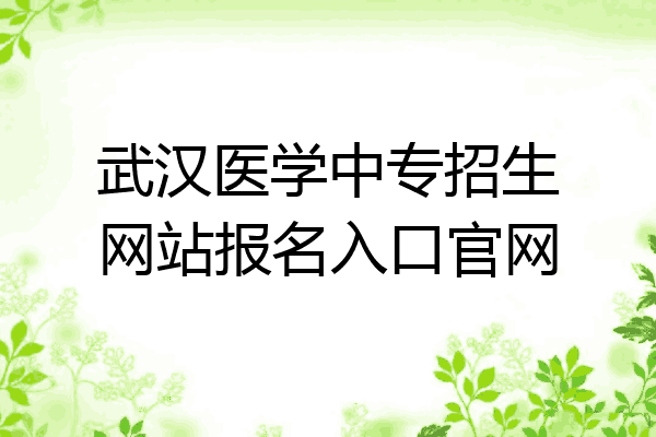 武汉医学中专招生网站报名入口官网