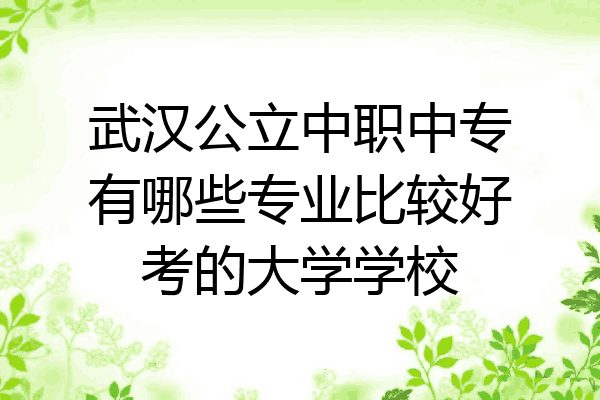 武汉公立中职中专有哪些专业比较好考的大学学校