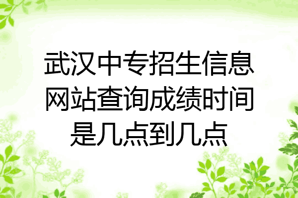 武汉中专招生信息网站查询成绩时间是几点到几点