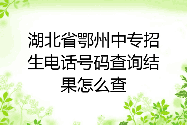 湖北省鄂州中专招生电话号码查询结果怎么查