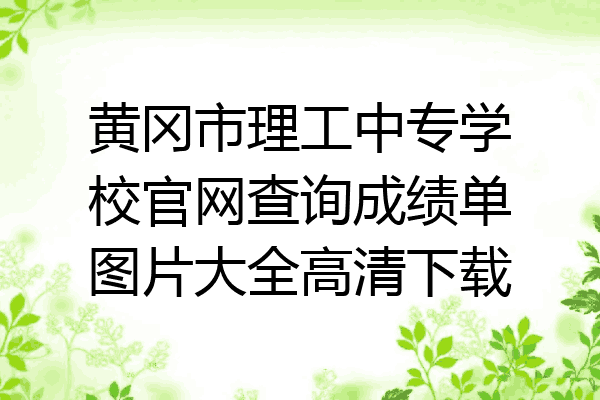 黄冈市理工中专学校官网查询成绩单图片大全高清下载