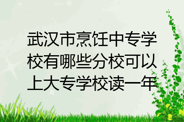 武汉市烹饪中专学校有哪些分校可以上大专学校读一年