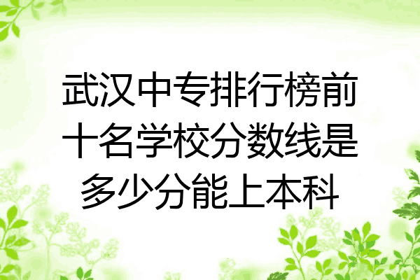 武汉中专排行榜前十名学校分数线是多少分能上本科