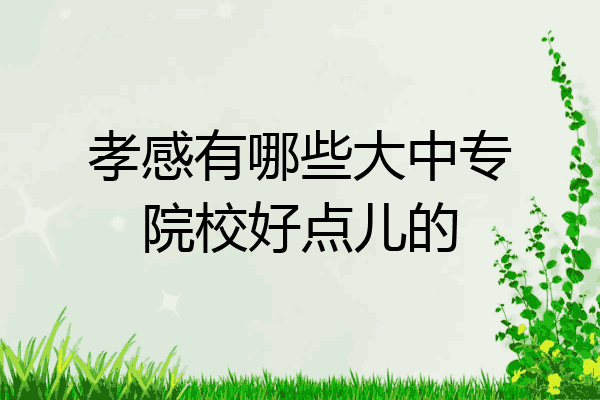 孝感有哪些大中专院校好点儿的