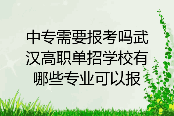 中专需要报考吗武汉高职单招学校有哪些专业可以报