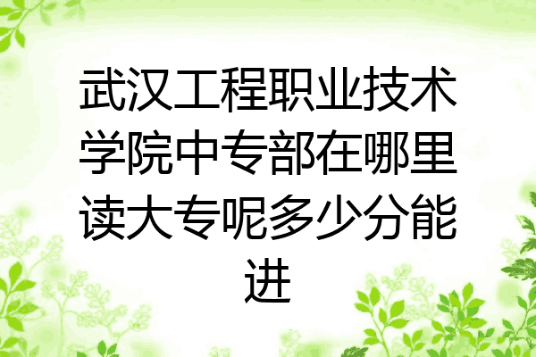 武汉工程职业技术学院中专部在哪里读大专呢多少分能进