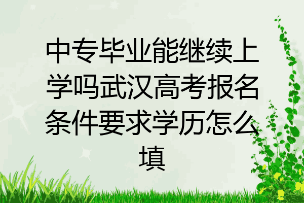 中专毕业能继续上学吗武汉高考报名条件要求学历怎么填