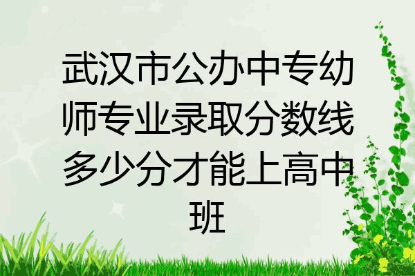 武汉市公办中专幼师专业录取分数线多少分才能上高中班