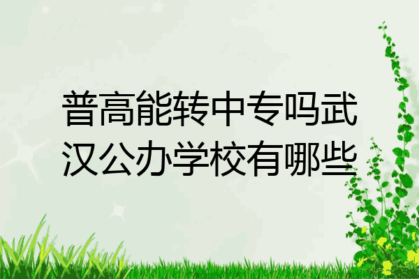 普高能转中专吗武汉公办学校有哪些