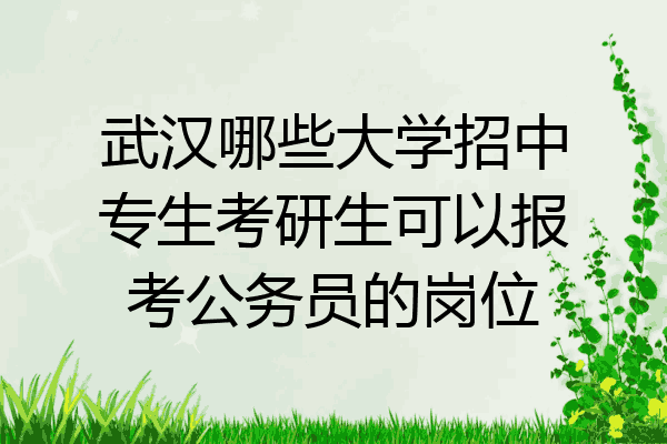 武汉哪些大学招中专生考研生可以报考公务员的岗位