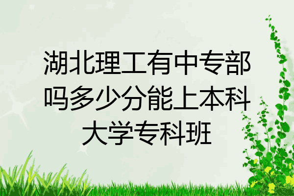 湖北理工有中专部吗多少分能上本科大学专科班