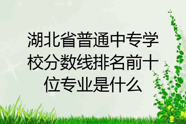 湖北省普通中专学校分数线排名前十位专业是什么