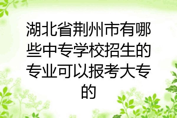 湖北省荆州市有哪些中专学校招生的专业可以报考大专的