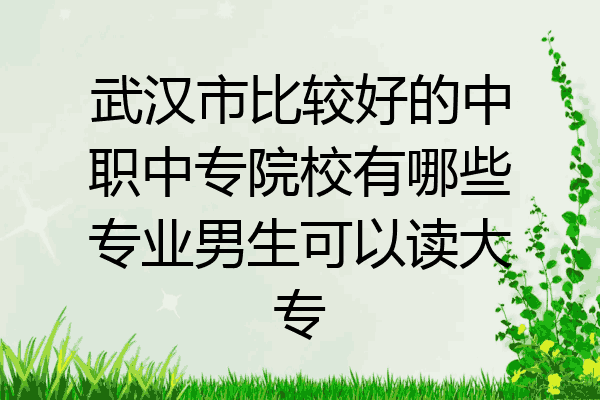 武汉市比较好的中职中专院校有哪些专业男生可以读大专
