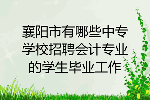 襄阳市有哪些中专学校招聘会计专业的学生毕业工作