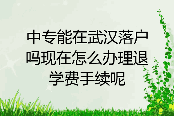 中专能在武汉落户吗现在怎么办理退学费手续呢