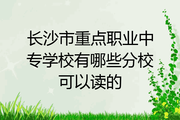 长沙市重点职业中专学校有哪些分校可以读的