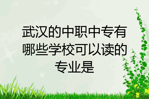 武汉的中职中专有哪些学校可以读的专业是