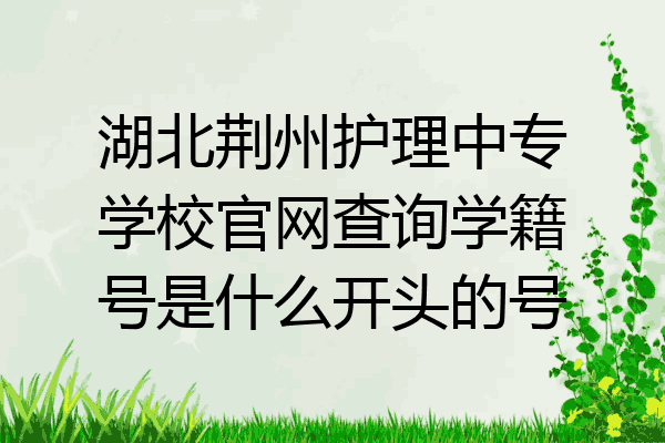 湖北荆州护理中专学校官网查询学籍号是什么开头的号
