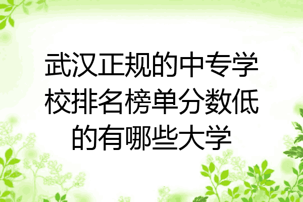 武汉正规的中专学校排名榜单分数低的有哪些大学
