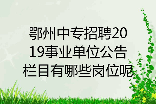 鄂州中专招聘2019事业单位公告栏目有哪些岗位呢