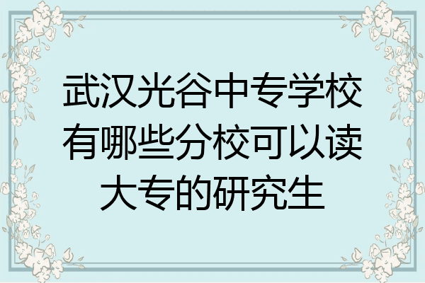 武汉光谷中专学校有哪些分校可以读大专的研究生